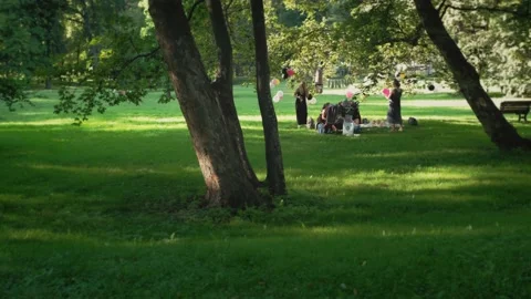 Hen party in a park Stock Footage 137823216