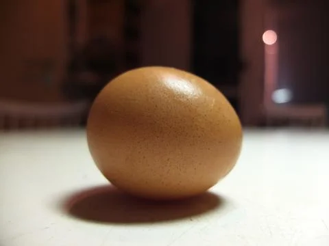 Hen s egg. Stock Photos