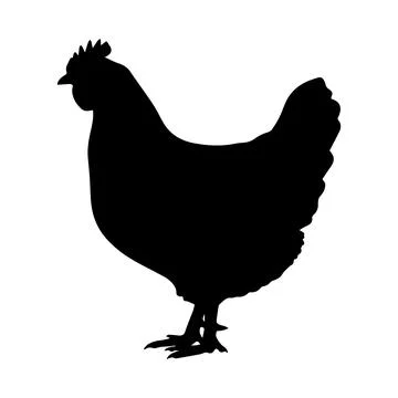 Hen silhouette Illustrazione stock