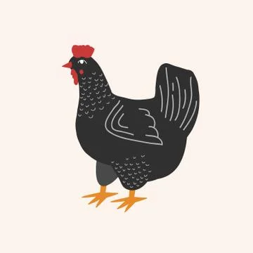 A hen. Vector drawing of a black chicken in a flat style. Cartoon drawing. Fa Stock Illustration