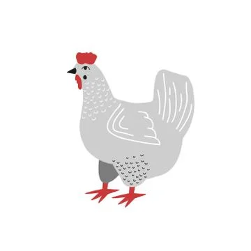 A hen. Vector drawing of a gray chicken in flat style. Cartoon drawing. Farm  Stock Illustration