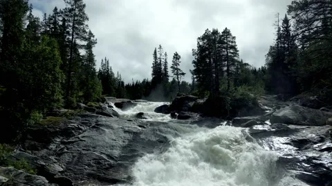 Henfallet 2 Video stock 202059942