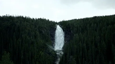 Henfallet 3 Video stock 202058430