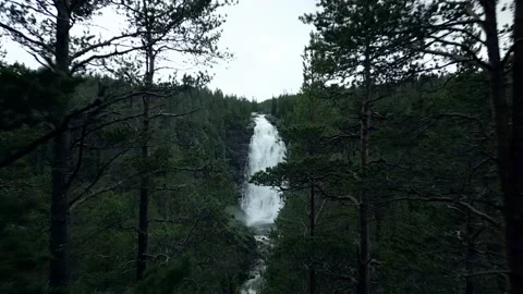 Henfallet 4 Video stock 202058459