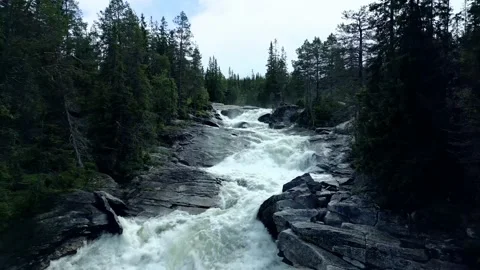 Henfallet Video stock 202058565