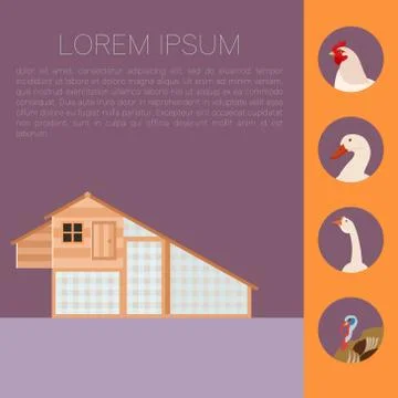 Henhouse flat banner Stock Illustration