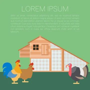 Henhouse flat banner Stock Illustration