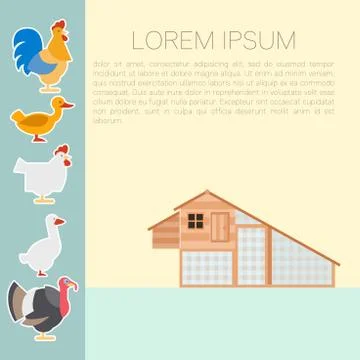 Henhouse flat banner Stock Illustration