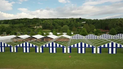 Henley Stock Footage 310023213