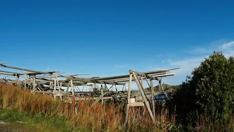 Henningsvaer, old fish drying rack. Lofoten islands, Norway. Summer 2016 Stock Footage 70794324