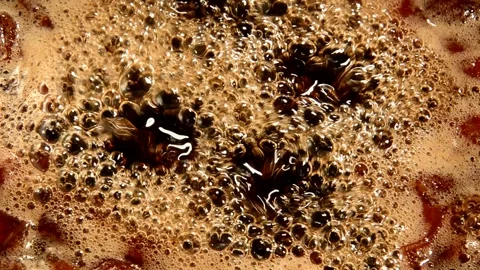 Henomeles jam Stock Footage 291718150