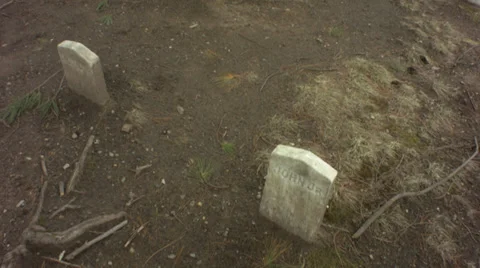 Henry david thoreau plot Vídeos de archivo 37718612