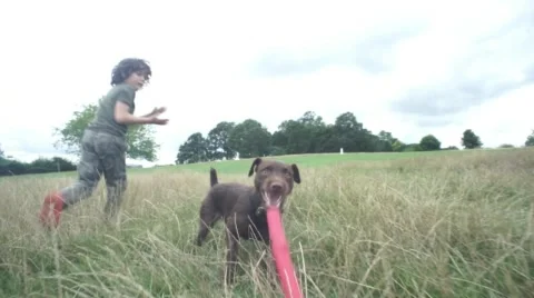 Henry Gruff 01 Stock Footage 54114563