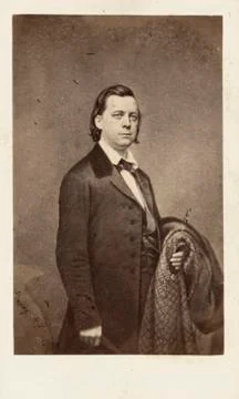 Henry Ward Beecher Foto stock