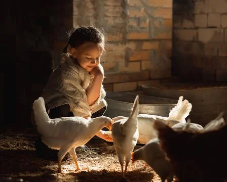Hens and girl Stock Photos
