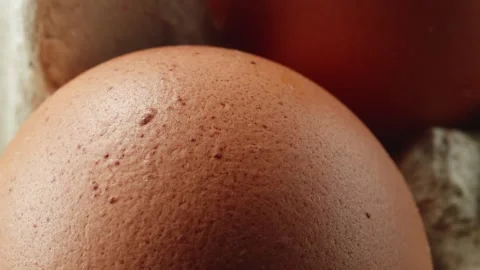 Hens egg extreme macro close up with a rotating camera motion stock footage Stock Footage 328701786