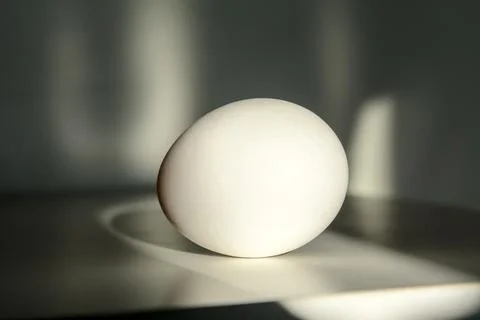 A hen's egg Stock Photos