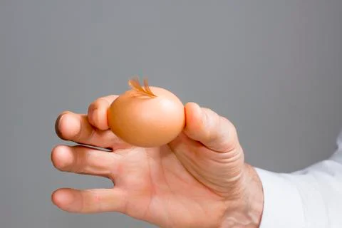 Hens egg with a signature Stock Photos