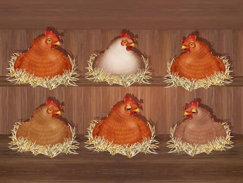 Hens in the hen house Stock Illustration