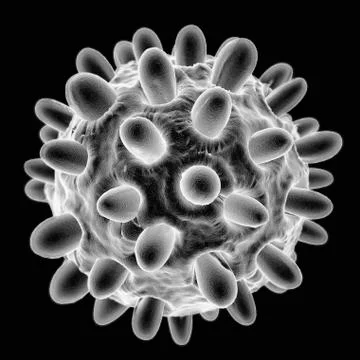 Hepatitis b, artwork Stock Illustration