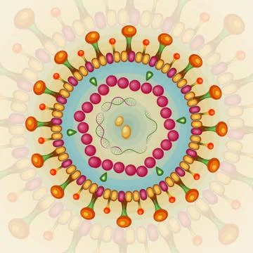 Hepatitis B virus. Background. Eps 10. Stock Illustration