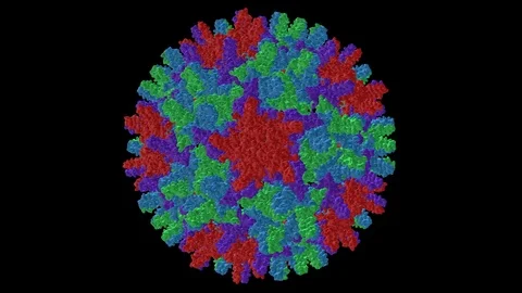Hepatitis B virus capsid moleacular model rotating, seamless loop Stock Footage 74075221