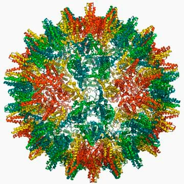 Hepatitis B virus capsid, molecular model Stock Illustration