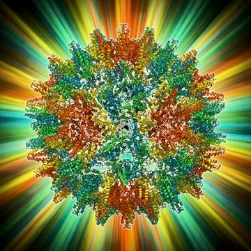 Hepatitis B virus capsid, molecular model Stock Illustration