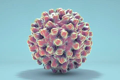 Hepatitis B virus, computer model 스톡 일러스트