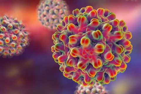Hepatitis B virus, illustration Stock Illustration