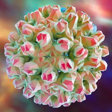 Hepatitis B virus, illustration Stock Illustration