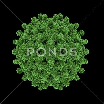 Hepatitis b virus particle Stock Illustration