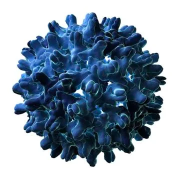 Hepatitis b virus particle Stock Illustration