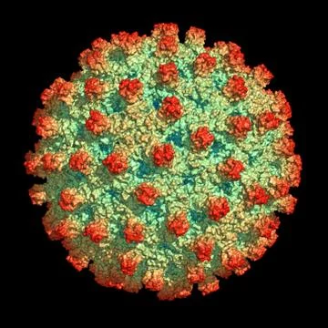 Hepatitis B virus particle Illustrazione stock