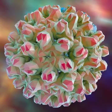 Hepatitis B viruses illustration 库存插图