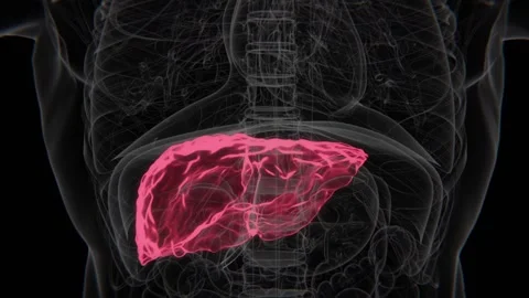 Hepatitis C HD X-Ray Video | Hepatitis C Indication in Vertical HD Video Stock Footage 328924912