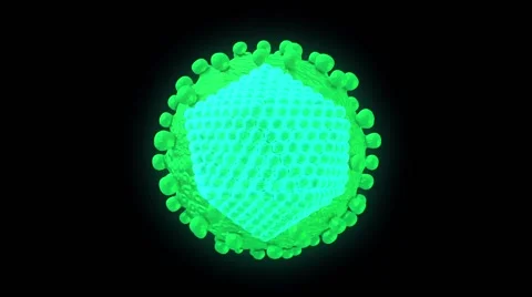 Hepatitis C virus, animation Video stock 64822536