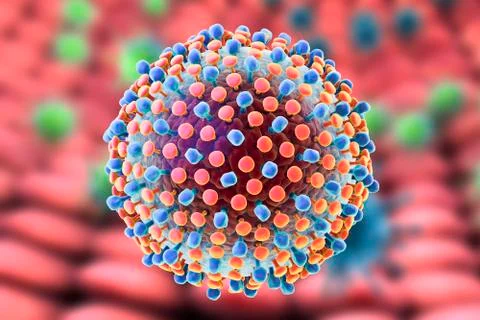 Hepatitis C virus, illustration Stock Illustration