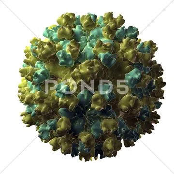 Hepatitis e virus particle Stock Illustration