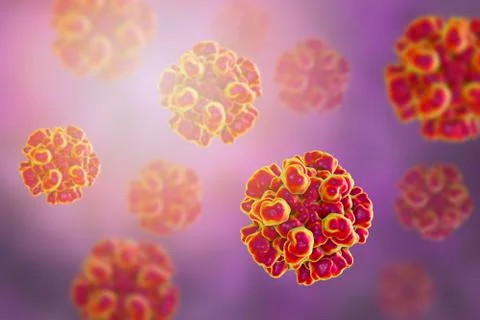 Hepatitis E viruses Stock Illustration