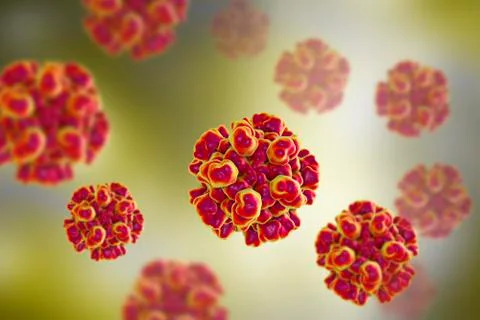 Hepatitis E viruses Stock Illustration