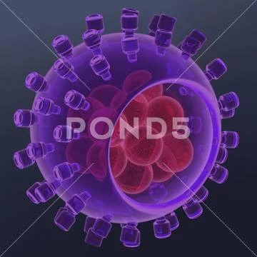 Hepatitis virus structure 3d rendered illustration PSD Template