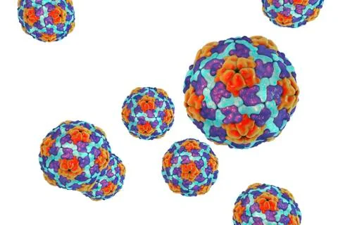 Hepatitis A viruses isolated on white background Illustrazione stock