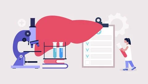 Hepatology concept Stock Illustration