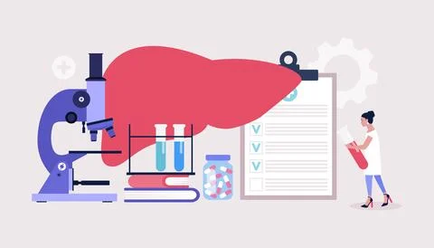 Hepatology concept 스톡 일러스트