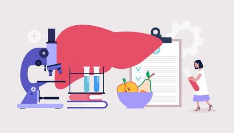 Hepatology concept Stock Illustration