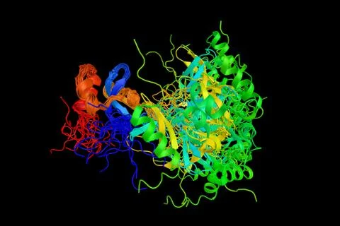 Hepatoma-derived growth factor (HDGF), also known as high mobility group pr.. Illustration