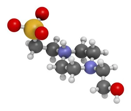 HEPES buffering agent molecule. 3D rendering. Stock Illustration