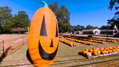 Hephzibah baptist Church Pumpkin patch giant air blown pumpkin Stock Footage 219585121