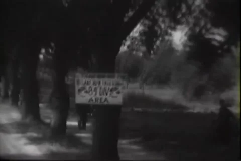 HEPPENHEIM, GERMANY - 1945: Lined road - Band plays before massed US troops 動画素材 344485752